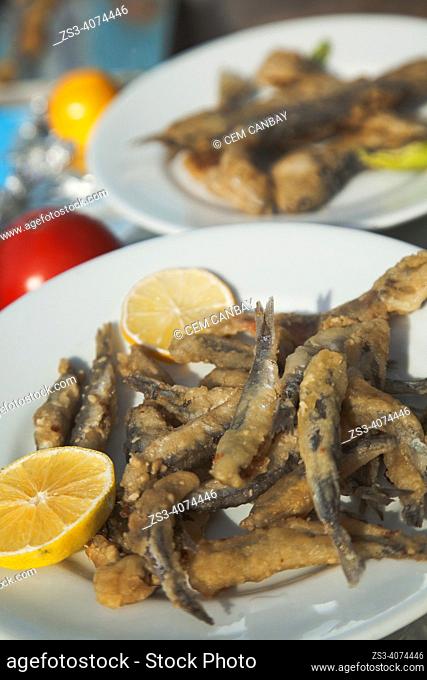 Close up shot of fried mackerel in a plate served with lemon in a restaurant in Cengelkoy village, a neighbourhood on the Asian side of the Bosphorus in...