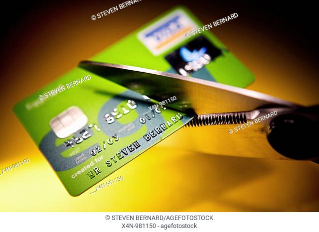 Cutting up an egg visa credit card