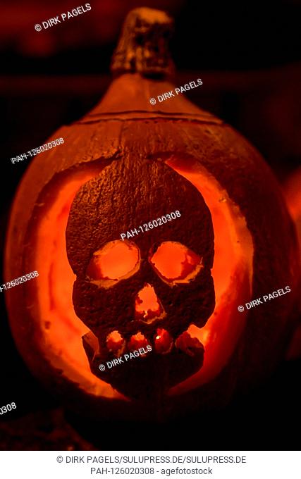 26.10.2019, at the lantern parade in Brandenburg Teltow there was again in 2019 a great selection of Halloween pumpkins. This spooky