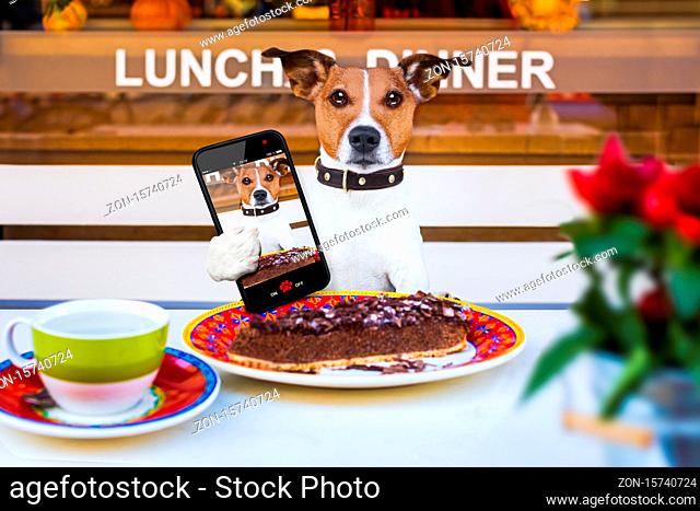 jack russell terrier hungry dog eating a chocolate cake in restaurant table , taking a selfie with smartphone