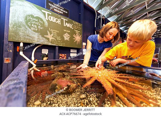 A young boy and a volunteer at the Ucluelet Aquarium explore a touch tank and it's inhabitants including a Sunflower Star