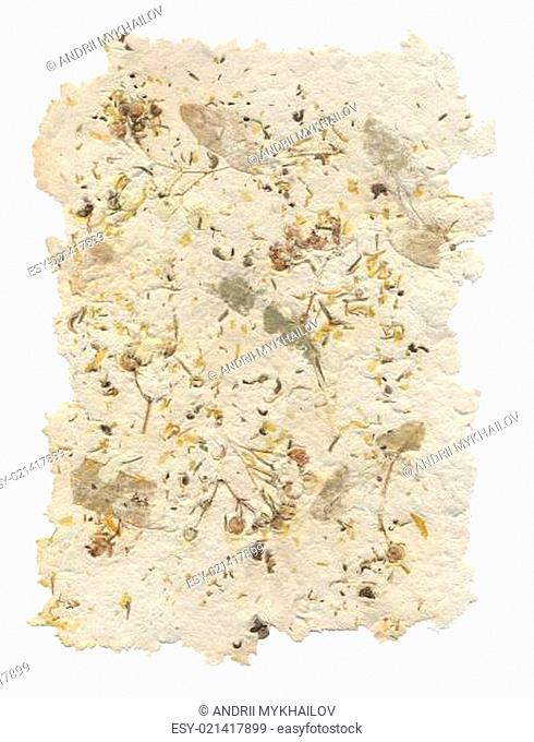 Handmade paper with leaves and flowers inside