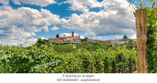 Vineyards and small town. Castiglione Falletto, Italy
