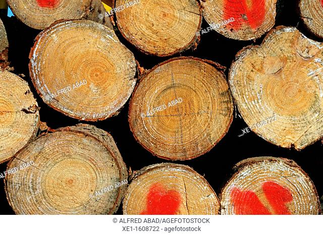 stacked logs, forestry, Vallgorguina, Catalonia, Spain