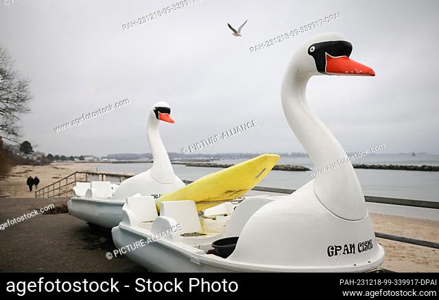 18 December 2023, Schleswig-Holstein, Schilksee: Two swan-shaped pedal boats lie on the beach at Schilksee near Kiel. Photo: Christian Charisius/dpa
