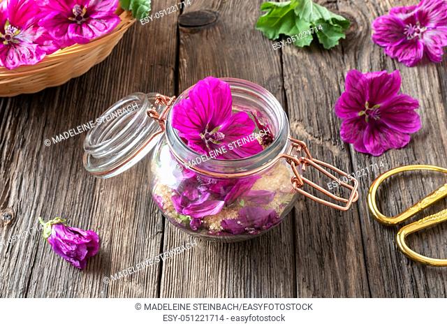 Preparation of mallow herbal syrup from fresh flowers of Malva sylvestris var. mauritiana