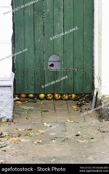 21 October 2023, Schleswig-Holstein, Arnis: Apples lie under a front door. Schleswig-Holstein has been hit particularly hard by a storm surge with water levels...