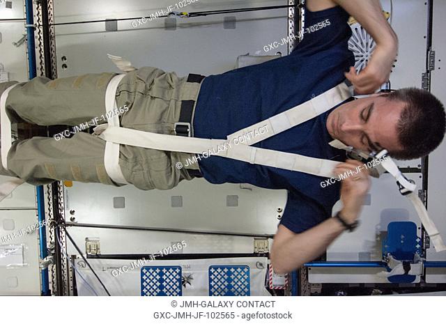 In the Destiny lab aboard the International Space Station, NASA astronaut Chris Cassidy, Expedition 36 flight engineer, participates in a Crew Medical Restraint...