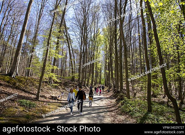Illustration picture shows lots of people walking in the Hallerbos in Halle, renowned for it's bluebells, Sunday 17 April 2022