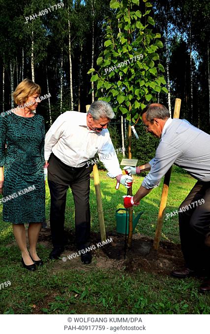 German President Joachim Gauck (C) and Estonian President Toomas Hendrik Ilves plant a lime tree at the Estonian President's summer residence in Aerma Talu