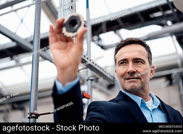 Smiling businessman looking at gear in greenhouse