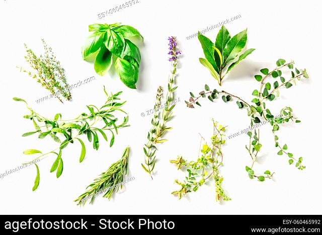 Herbes de Provence, traditional French aromatic herbs, overhead flat lay shot on a white background