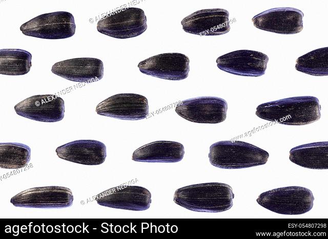 Sunflower Seeds Pattern. Isolated Background. Detailed Texture. Macro Closeup. Landscape Orientation Poster
