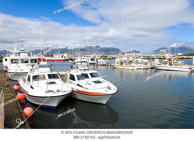 Small fishing boats in the harbour, Hoefn, Iceland, Northern Europe, Europe