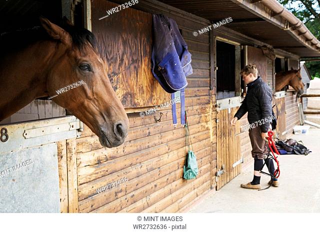 Man wearing riding gear standing by a box stall at a stable. A horse looking out of the stable