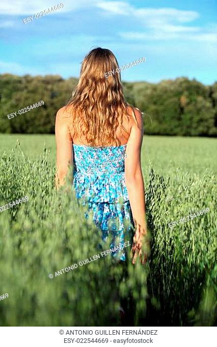 Back view of a woman walking across an oat meadow