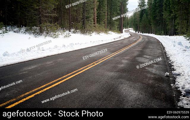 The road is drying in the sun during the winter in National Forest territory
