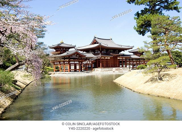 Byodo in, Uji, Near Kyoto, Japan, Temple, Morning sunshine, View across small lake, Horizontal, Cherry blossom