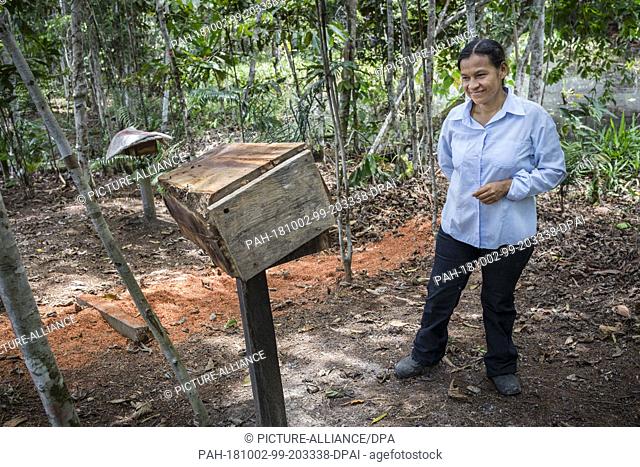 05 March 2018, Peru, Tamshiyacu: Silvia del Aguila Reyna, forestry expert, next to a beehive on the ACELPA land near Tamshiyacu in Loreto