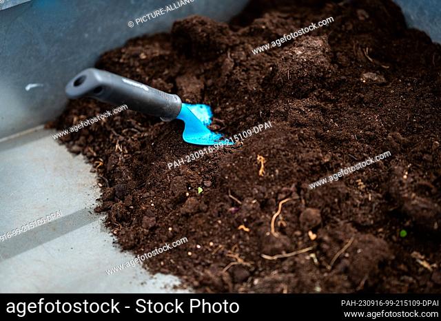 PRODUCTION - 06 September 2023, Lower Saxony, Lüchow: A shovel is stuck in potting soil. One idea to secure older farms in the long term is digitization