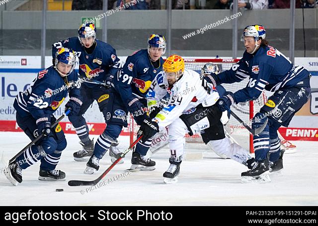 01 December 2023, Bavaria, Munich: Ice hockey: DEL, EHC Red Bull Munich - Pinguins Bremerhaven, Main Round, Matchday 23 at the Olympic Ice Sports Center