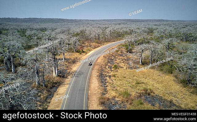 Aerial view of a jeep on a road surrounded by baobab trees, Cabo Ledo area, Angola