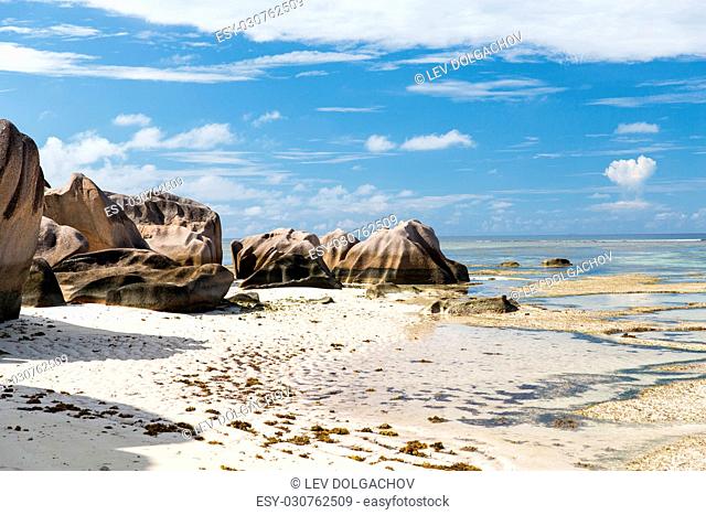 travel, landscape and nature concept - rocks on seychelles island beach in indian ocean