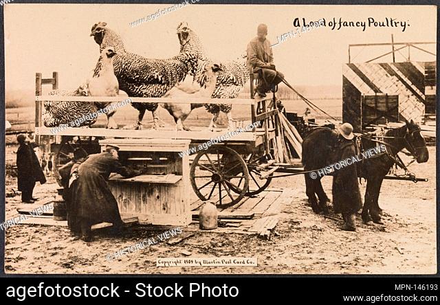 A Load of Fancy Poultry. Artist: William H. Martin (American, 1865-1940); Date: 1909; Medium: Gelatin silver print; Dimensions: Image: 8
