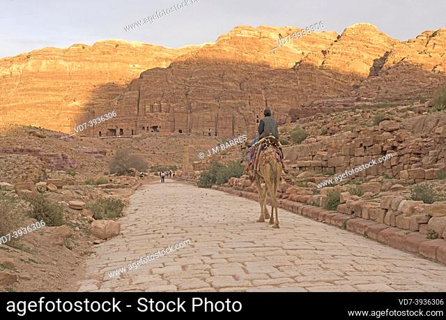 Petra, Cardo Maximus (Roman period). At bottom Royal tombs. Ma'an Governorate, Jordan