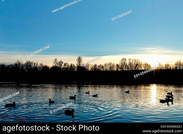 See mit Enten kurz bevor die Sonne hinterm Horizont verschwindet - Lake with ducks just before the sun disappears behind the horizon