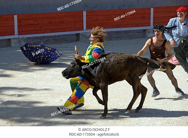 Bullfight with clown, Arenes Albert Laty, Plan d'Orgon, Provence, Southern France, bullring