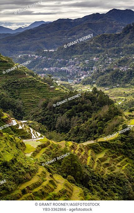 The Banaue Rice Terraces Viewed From The Banaue Viewpoint, Banaue, Luzon, The Philippines