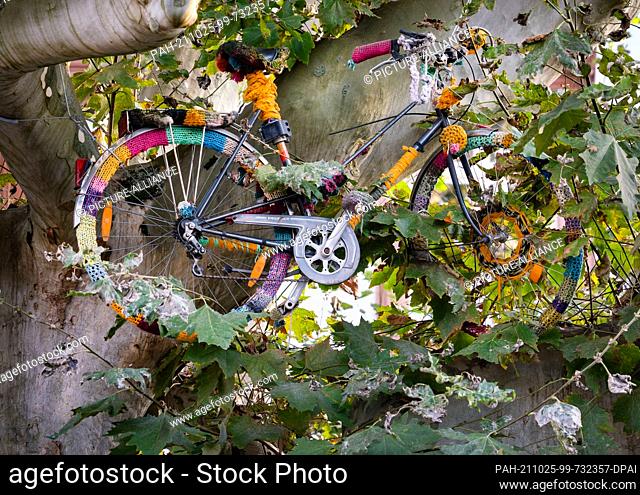 25 October 2021, Hessen, Frankfurt/Main: Well camouflaged in green, a bicycle, decorated with knitting on the frame, stands at a lofty height in the branches of...