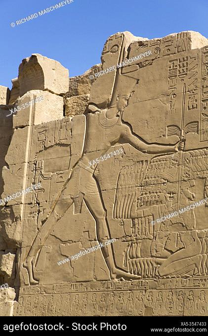 Relief of Thutmosis III, Seventh Pylon Reliefs, Karnak Temple Complex, UNESCO World Heritage Site, Luxor, Egypt
