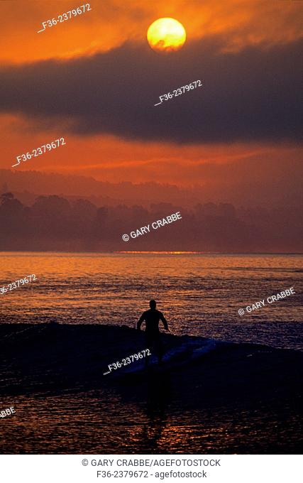 Surfer at sunrise in Monterey Bay near Capitola Beach, Santa Cruz County, CALIFORNIA