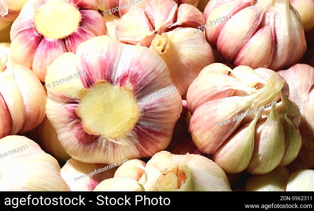 Pile of white purple garlic