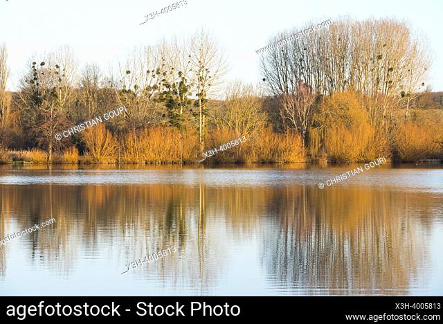 Pond of Chandelles by the Eure River, Eure-et-Loir department, Centre-Val-de-Loire region, France, Europe