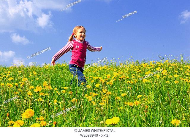 girl running through field of Dandelions, Zuercher Oberland, Zuerich, Switzerland