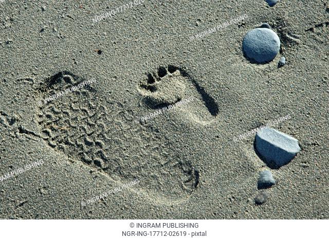 Footprints in sand, North Twillingate Island, Newfoundland And Labrador, Canada