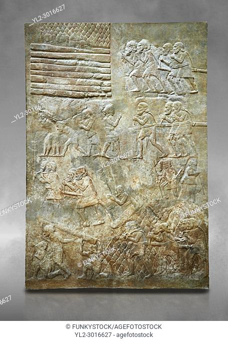 Stone relief sculptured panel of cedar of Lebanon being transported. From the northern courtyard, Inv AO 19888 from Dur Sharrukin the palace of Assyrian king...