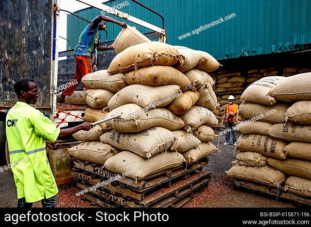 Worker sampling sacks of cocoa unloaded at Abidjan port