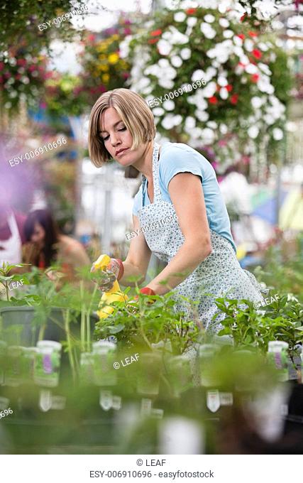 Young woman spraying water on plants at a plant nursery