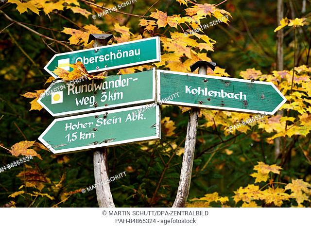 Signposts near Oberhof Germany, 18 October 2016. The Minister of the Environment for Thuringia Anja Siegesmund (Green) was in the area to inspect the beginning...