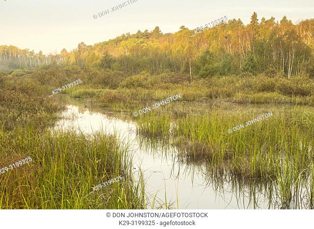 Beaver pond in early autumn with morning mists, Greater Sudbury, Ontario, Canada