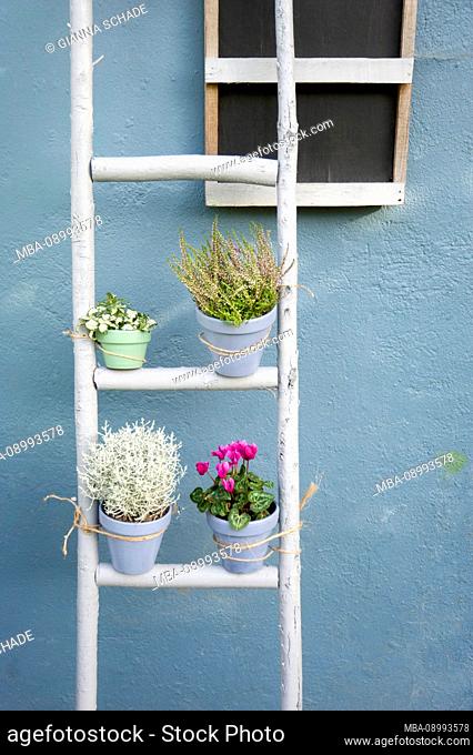 Autumn decoration, flower ladder
