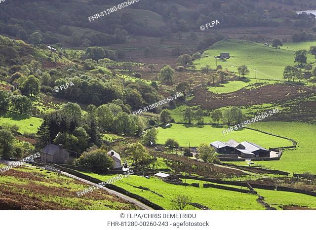 Farmland in valley at base of Mount Snowdon, Gwynant Valley, Snowdonia N P , North Wales, autumn