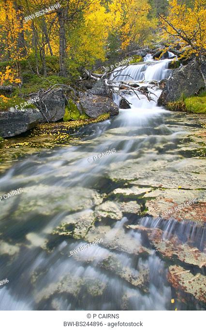 series of waterfalls running through ancient boreal forest in Atndalen, Norway, Sor-Trondelag, Stor-elvdal