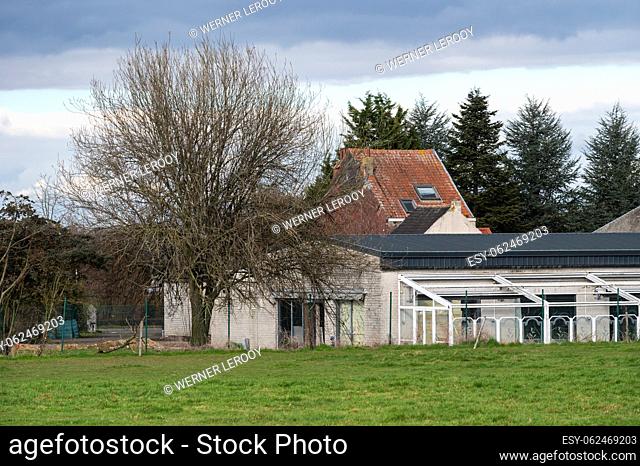Merchtem, Flemish Brabant Region, Belgium, Feb. 25 2023 - Green meadows and glasshouses at a Belgian farm