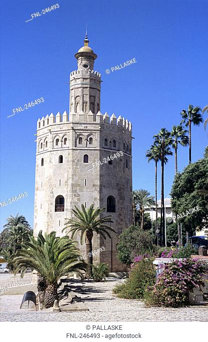 Trees in front of watchtower, Torre del Oro, Seville, Andalusia, Spain