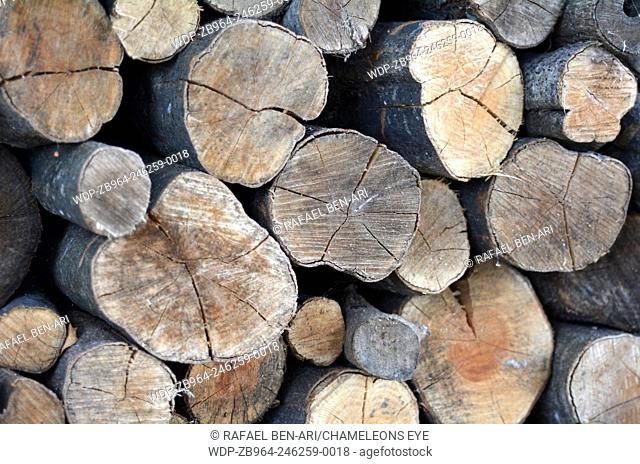 Firewood logs stacked up in a pile.Photo by Rafael Ben-Ari/Chameleons Eye